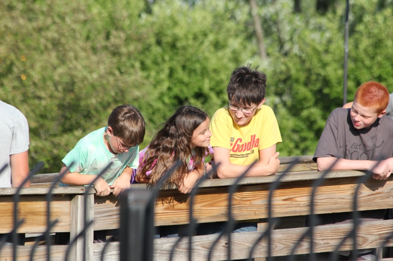 slideshow